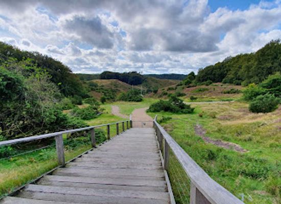 denmark/north-jutland/landmark/rebild-national-park