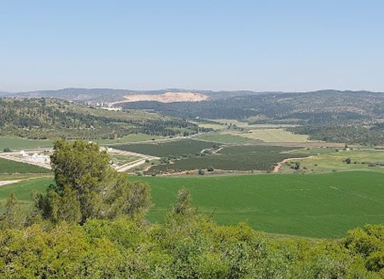 israel/shephelah/landmark/valley-of-elah-terebinths