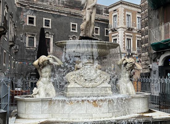 italy/catania/landmark/fontana-dell-amenano