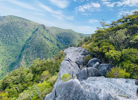 new-zealand/abel-tasman-national-park/landmark/harwoods-hole