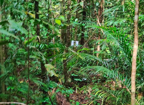 singapore/macritchie-reservoir/landmark/sime-track