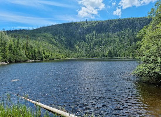czechia/north-bohemia/landmark/sumava-national-park