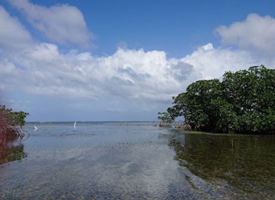 honduras/colon-region/landmark/mayan-eden