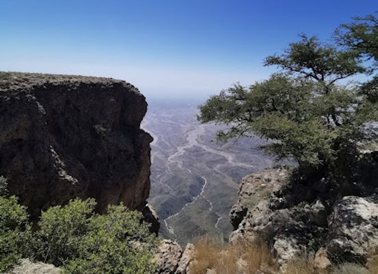 oman/salalah/landmark/dhofar-delight-tourism