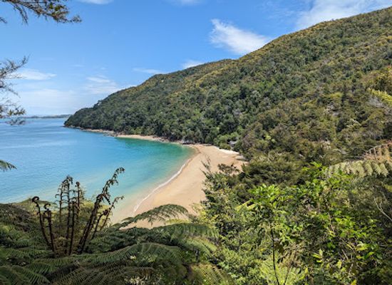 new-zealand/tasman/landmark/abel-tasman-national-park