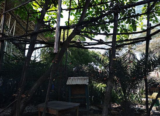 madagascar/ifaty/landmark/musee-rabesandratana