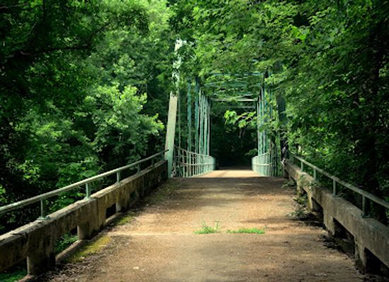 tennessee/northwest-tennessee/landmark/port-royal-state-historic-park