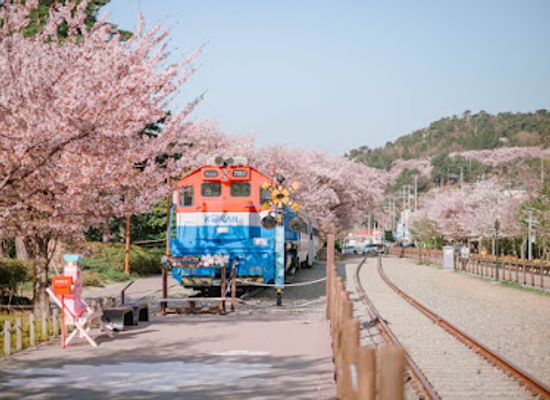 south-korea/south-gyeongsang-province/landmark/gyeonghwayeog
