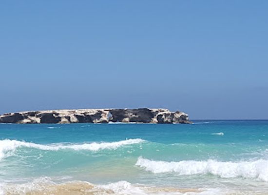 cabo-verde/praia-do-curral-velho/landmark/ilheu-de-curral-velho-and-adjacent-coast-important-bird-area