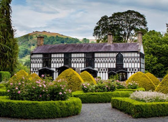 united-kingdom/clwyd/attraction/plas-newydd-historic-house-gardens-llangollen-2