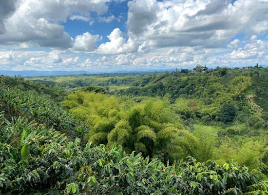 colombia/quindio-department/landmark/recuca