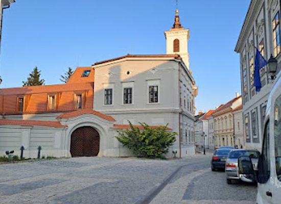 hungary/veszprem/landmark/dubniczay-palota