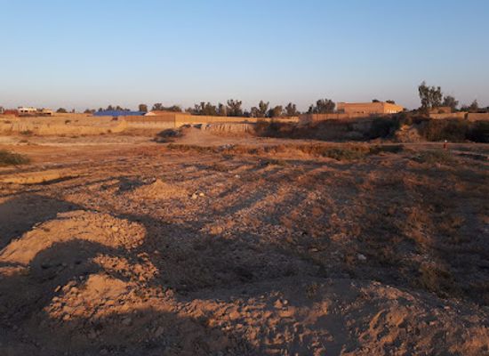 pakistan/lower-sindh/landmark/western-mound-of-lakhian-jo-daro