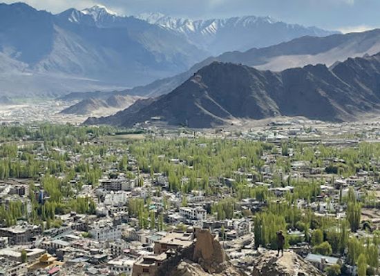 india/ladakh/landmark/old-castle-tsemo-hill