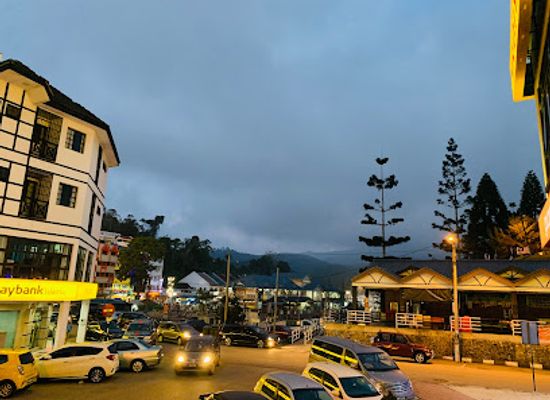 malaysia/cameron-highlands/landmark/cameron-fair-tanah-rata-malaysia