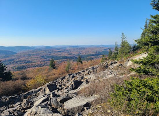 west-virginia/mountaineer-country/landmark/almost-heaven-swing