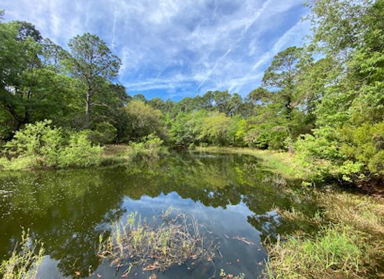 south-carolina/hilton-head-island/landmark/audubon-newhall-preserve