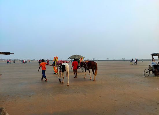 india/digha/landmark/digha-view-point