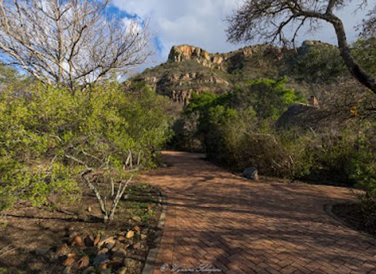 south-africa/zululand/landmark/ithala-game-reserve