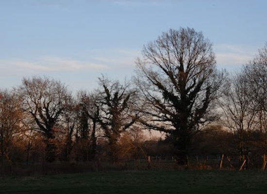 belgium/campine-kempen/landmark/kempens-landschap-de-hellekens