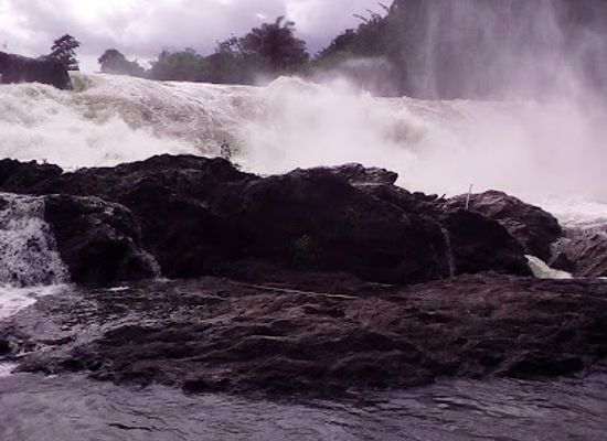 cote-d-ivoire/bas-sassandra/landmark/sassandra-river