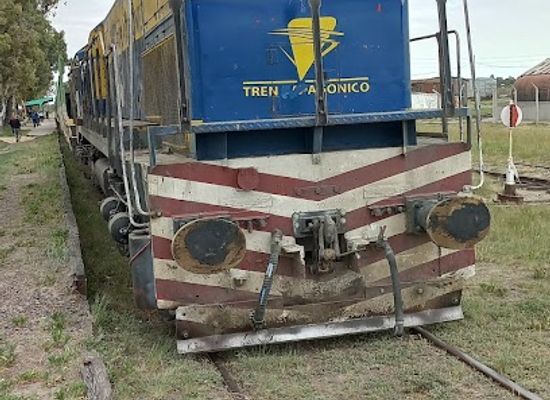 argentina/northern-patagonia/landmark/tren-patagonico-sa