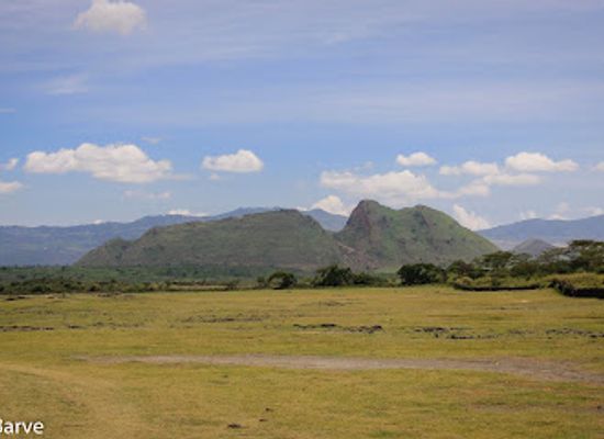 kenya/central-highlands/landmark/lake-elementaita
