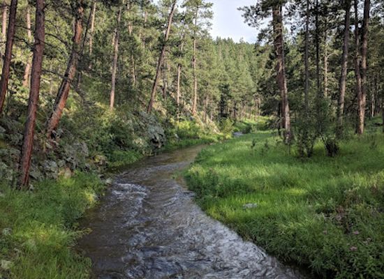 south-dakota/black-hills/landmark/hazelrodt-picnic-area