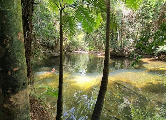 australia/daintree-rainforest/landmark/masons-cafe
