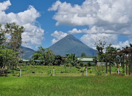 costa-rica/la-fortuna/landmark/sloth-s-territory