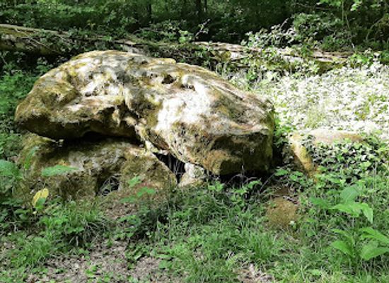 belgium/gaume/landmark/dolmen-de-gomery