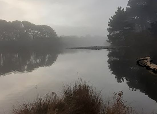 guernsey/st-saviour/landmark/the-millennium-walk