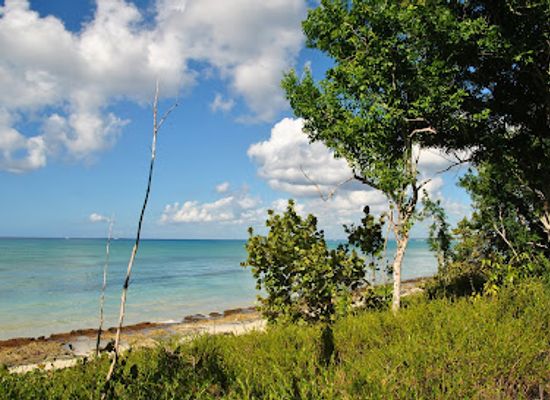 dominican-republic/bayahibe/landmark/cueva-del-puente