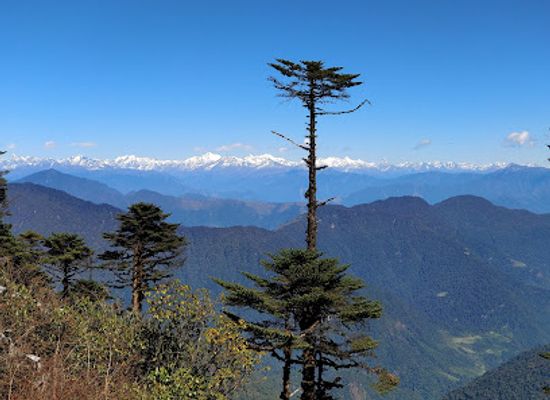 bhutan/bumthang-valley/landmark/thrumshing-la