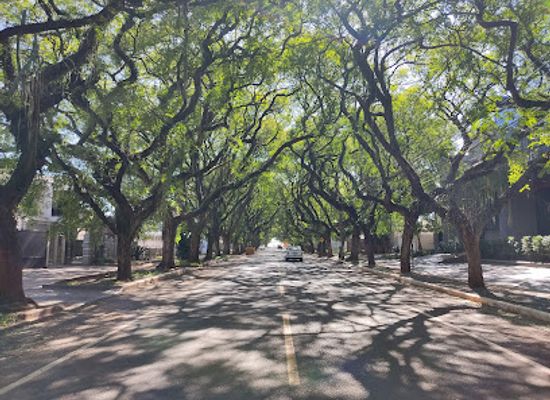 brazil/foz-do-iguacu/vila-a/landmark/a-rua-mais-bonita-de-foz