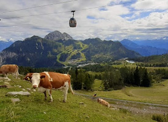 austria/gailtal/landmark/felsenlabyrinth-flying-fox