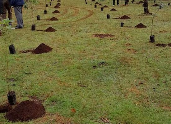 kenya/elgeyo-escarpment/landmark/kessup-forest