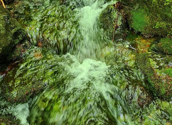 albania/lura-lakes/landmark/shebenik-national-park