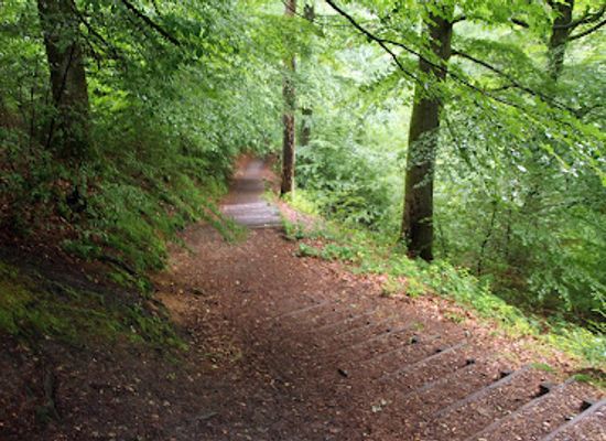 denmark/himmelbjerget/landmark/h-c-andersen-bench