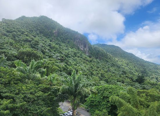 puerto-rico/south-region/landmark/el-yunque-national-forest