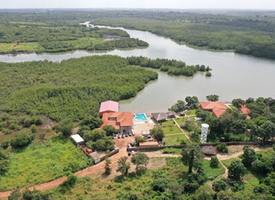 guinea-bissau/rio-geba/landmark/canafistra-crescendo-a-beira-rio