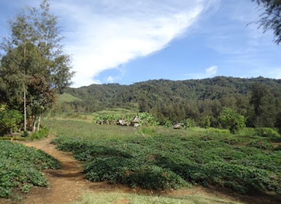 papua-new-guinea/morobe-region/landmark/lae-botanic-gardens