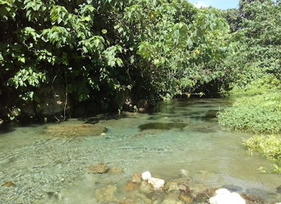 solomon-islands/bonegi-beach/landmark/bonegi-river-spring