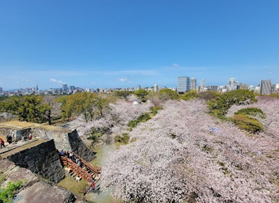 japan/fukuoka/landmark/fukuoka-castle-ruins