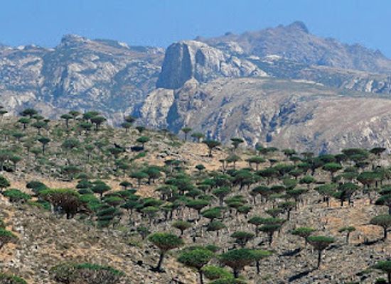 yemen/socotra-archipelago/landmark/hajhir-mountains