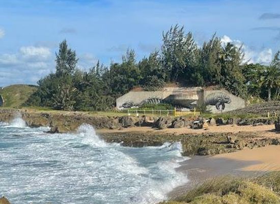 puerto-rico/port-of-san-juan/landmark/fuerte-amezquita