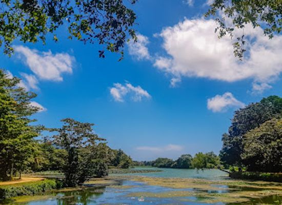 sri-lanka/western-province/landmark/boralesgamuwa-lake