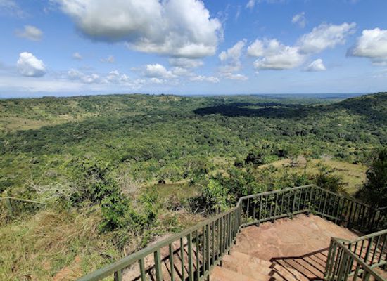 kenya/diani-beach/landmark/shimba-hills-national-reserve