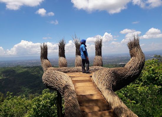 indonesia/java/landmark/hutan-pinus-pengger