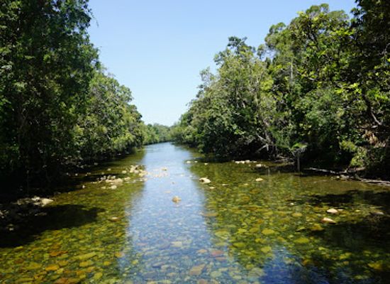 australia/cape-tribulation/landmark/madja-boardwalk